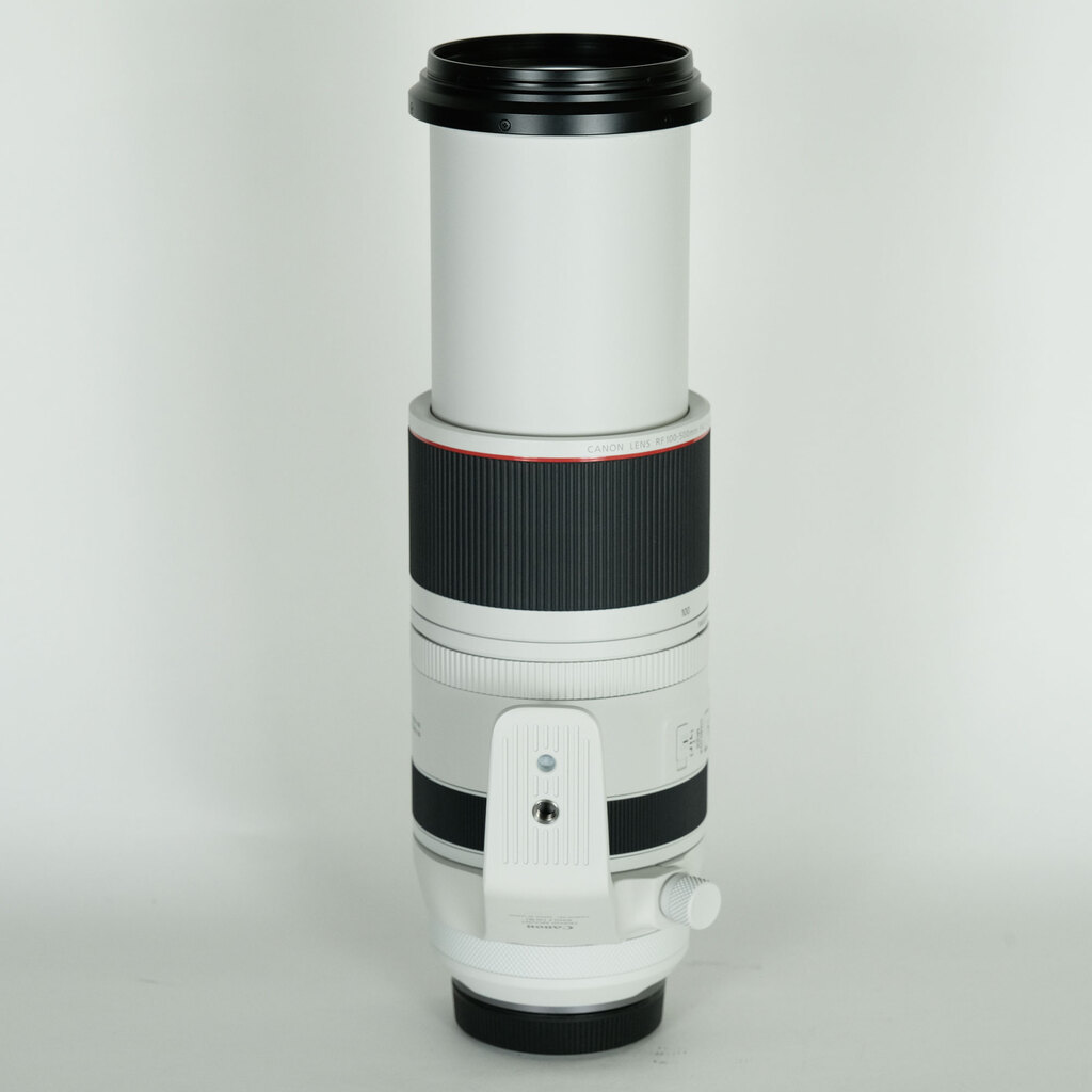 Canon RF100-500mm F4.5-7.1L IS USM