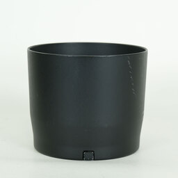 Canon RF100-400mm F5.6-8 IS USM