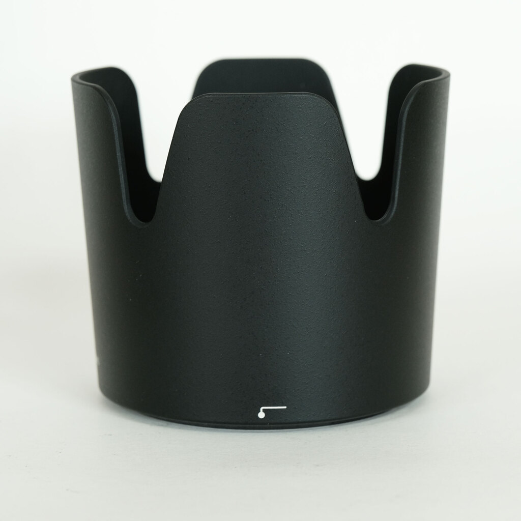 Nikon AF-P NIKKOR 70-300mm f/4.5-5.6E ED VR