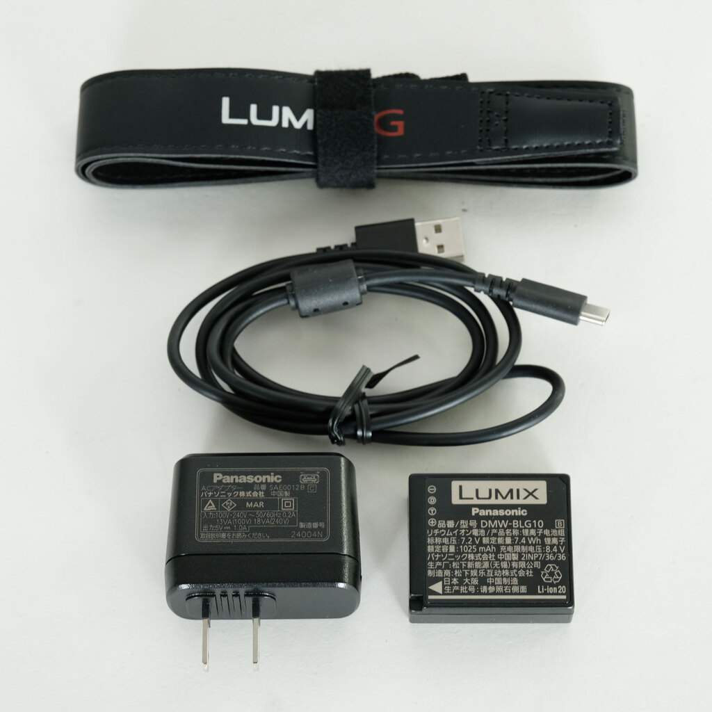 Panasonic LUMIX DC-G100