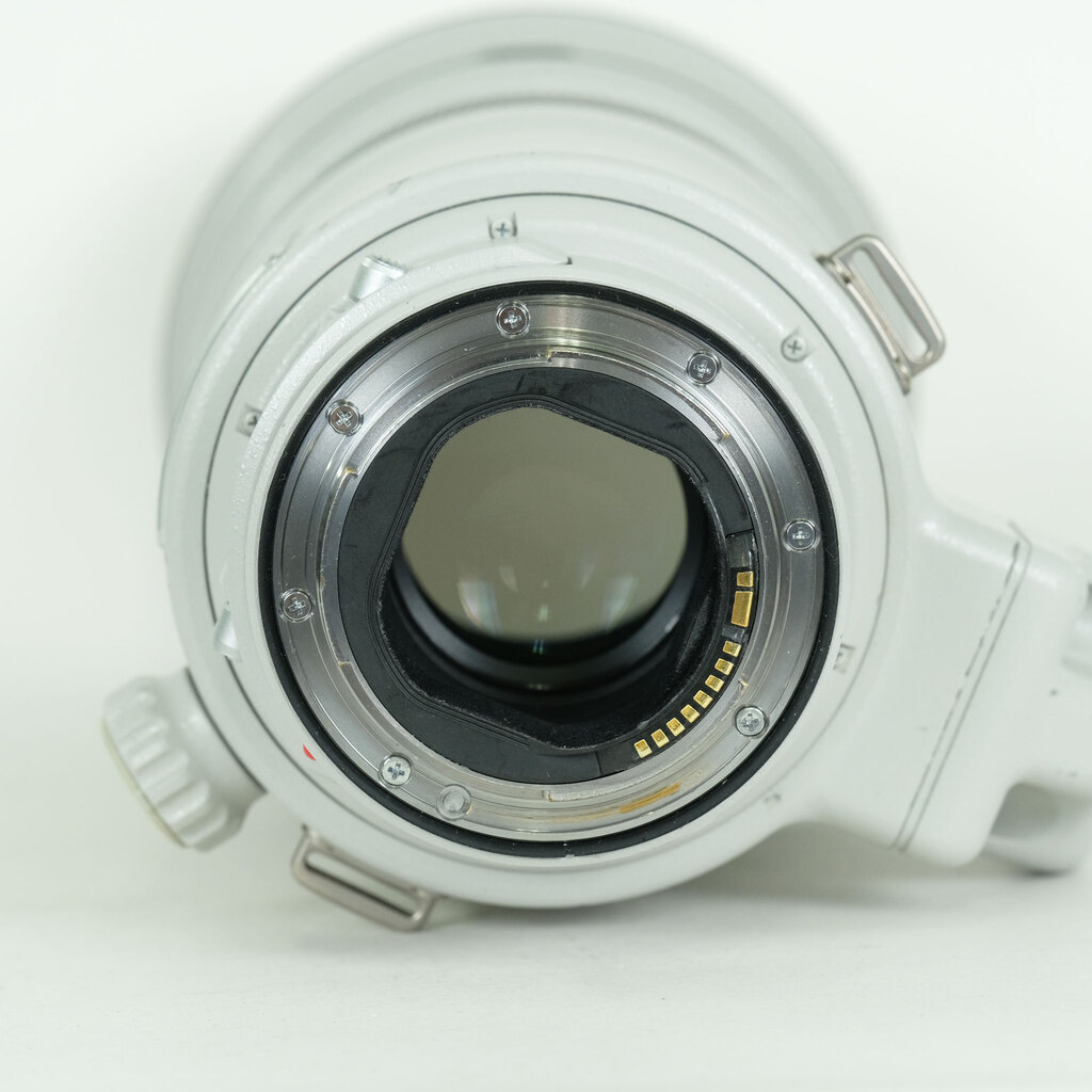 Canon EF300mm F2.8L IS II USM