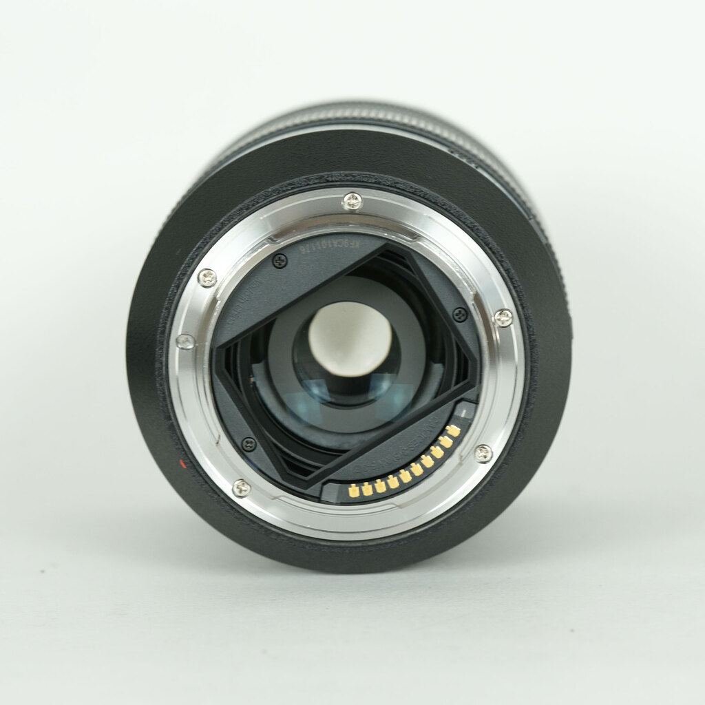 Panasonic LUMIX S 24-105mm F4 MACRO O.I.S.