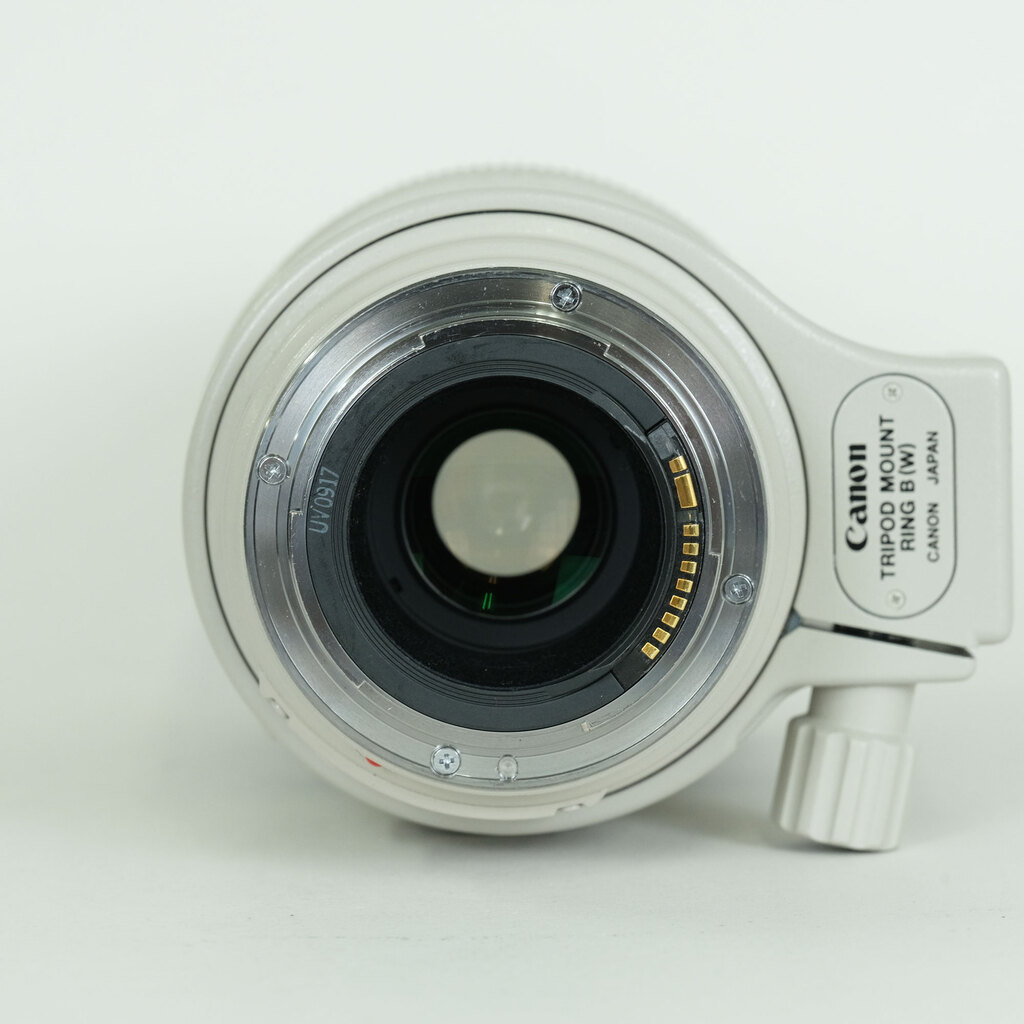 Canon EF100-400mm F4.5-5.6L IS USM