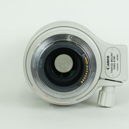 Canon EF100-400mm F4.5-5.6L IS USM