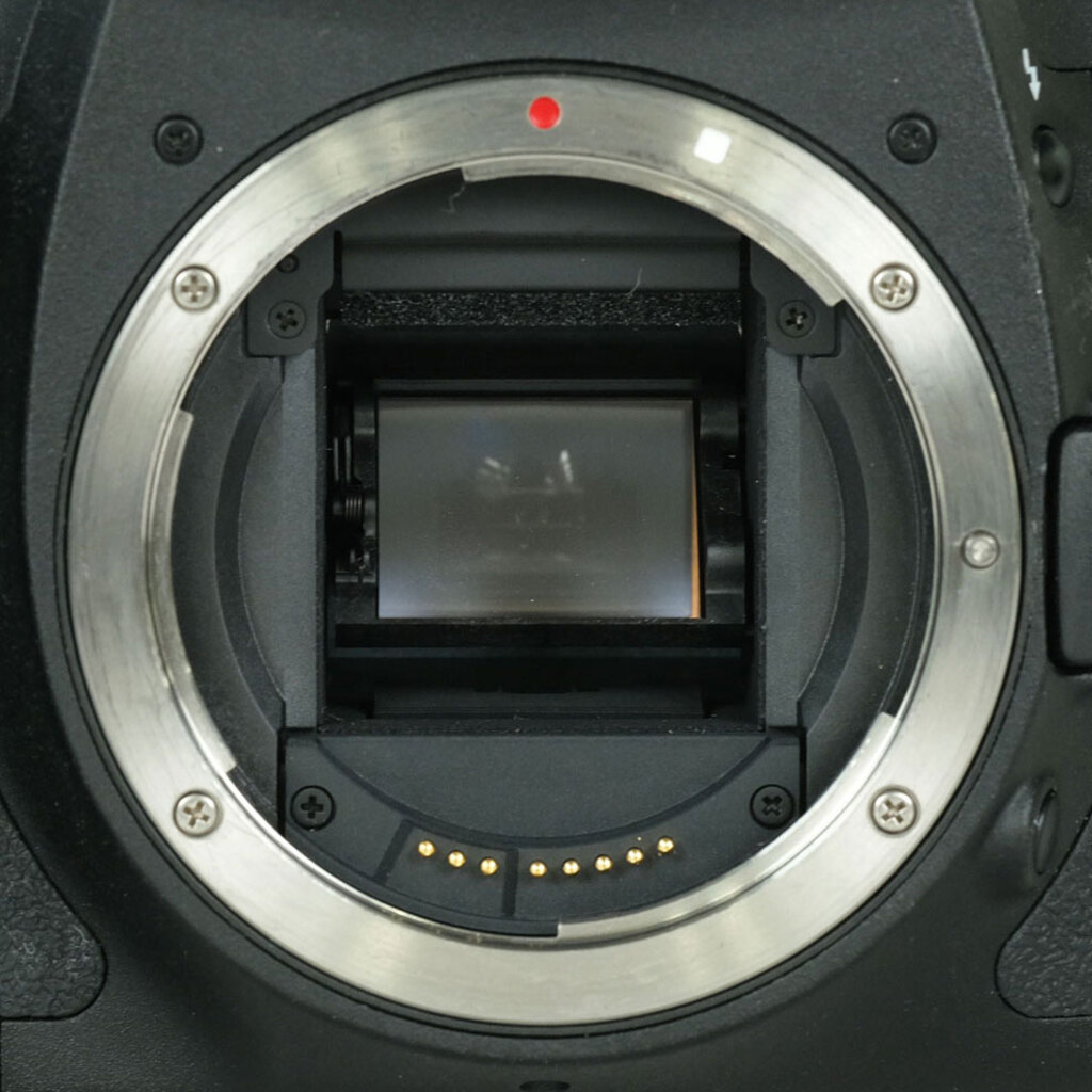 Canon EOS 7D ボディの出品 | ONE SCENE（ワンシーン）
