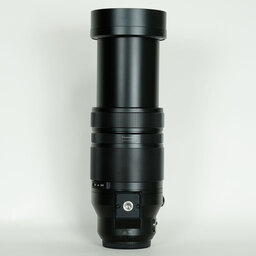 Panasonic LEICA DG VARIO-ELMAR 100-400mm / F4.0-6.3 II ASPH. / POWER O.I.S.