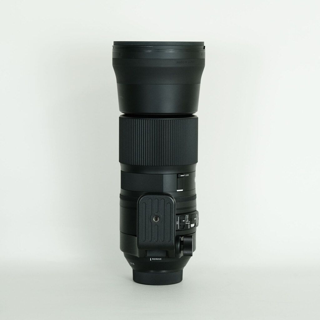SIGMA 150-600mm F5-6.3 DG OS HSM｜Contemporary [ニコンF用]の出品