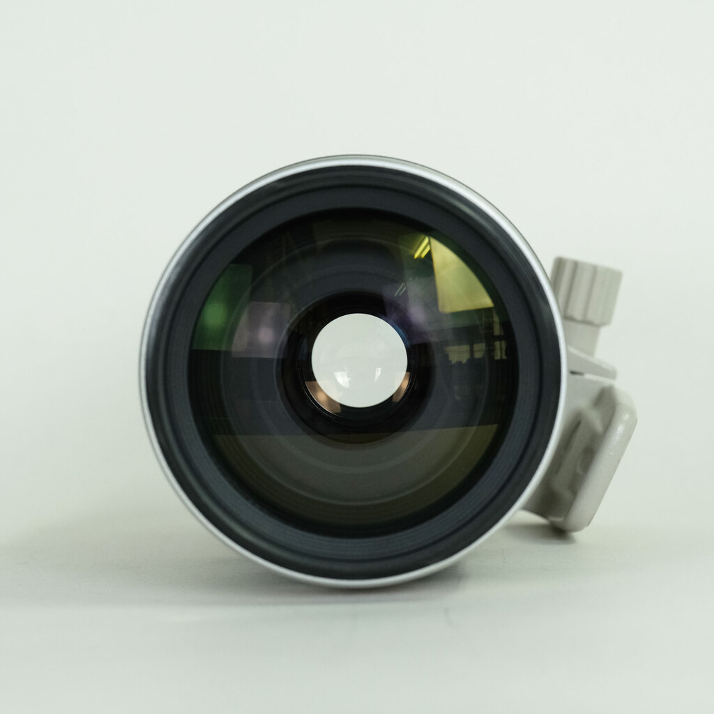 Canon EF100-400mm F4.5-5.6L IS USM