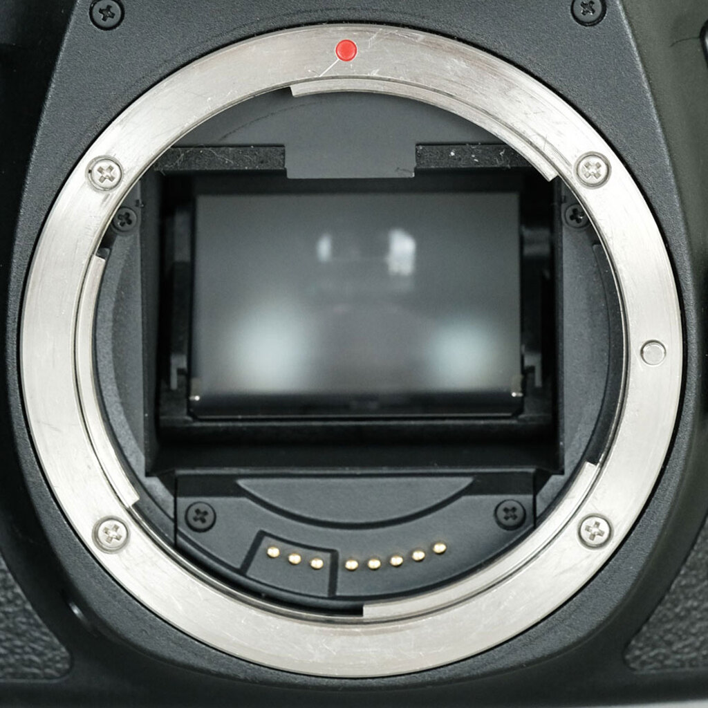 Canon EOS 6D Mark II