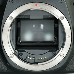 Canon EOS 6D Mark II