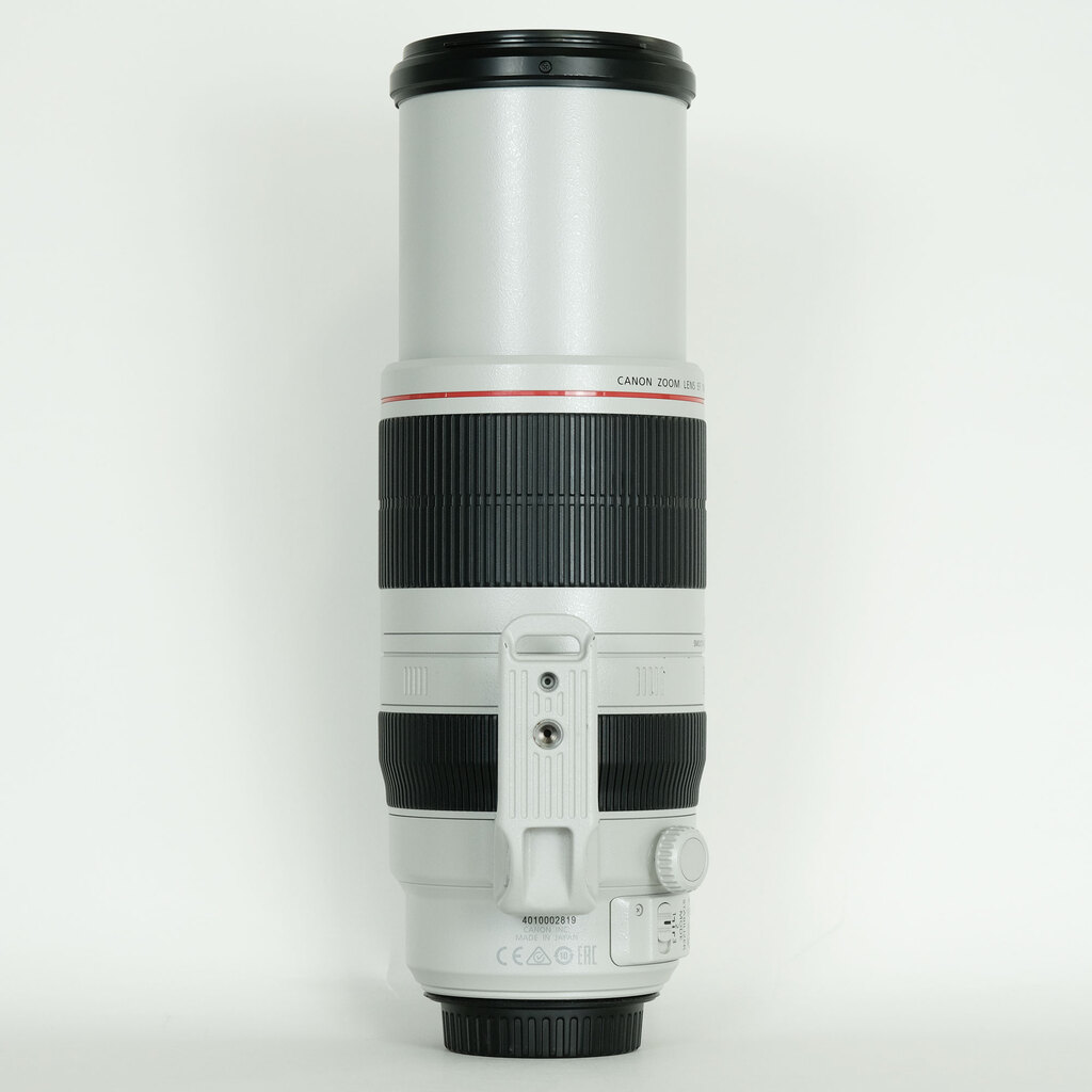 Canon EF100-400mm F4.5-5.6L IS II USM
