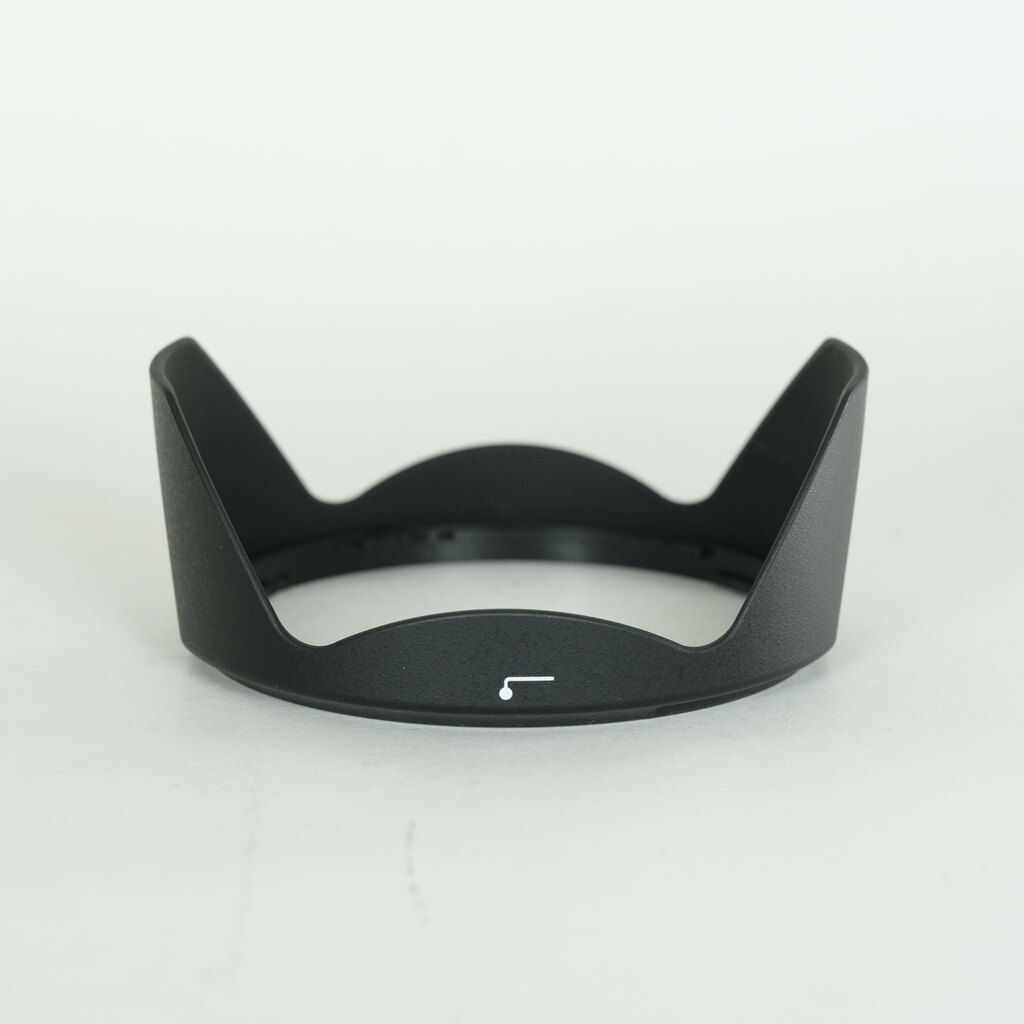 Nikon AF-P DX NIKKOR 10-20mm F4.5-5.6G VR