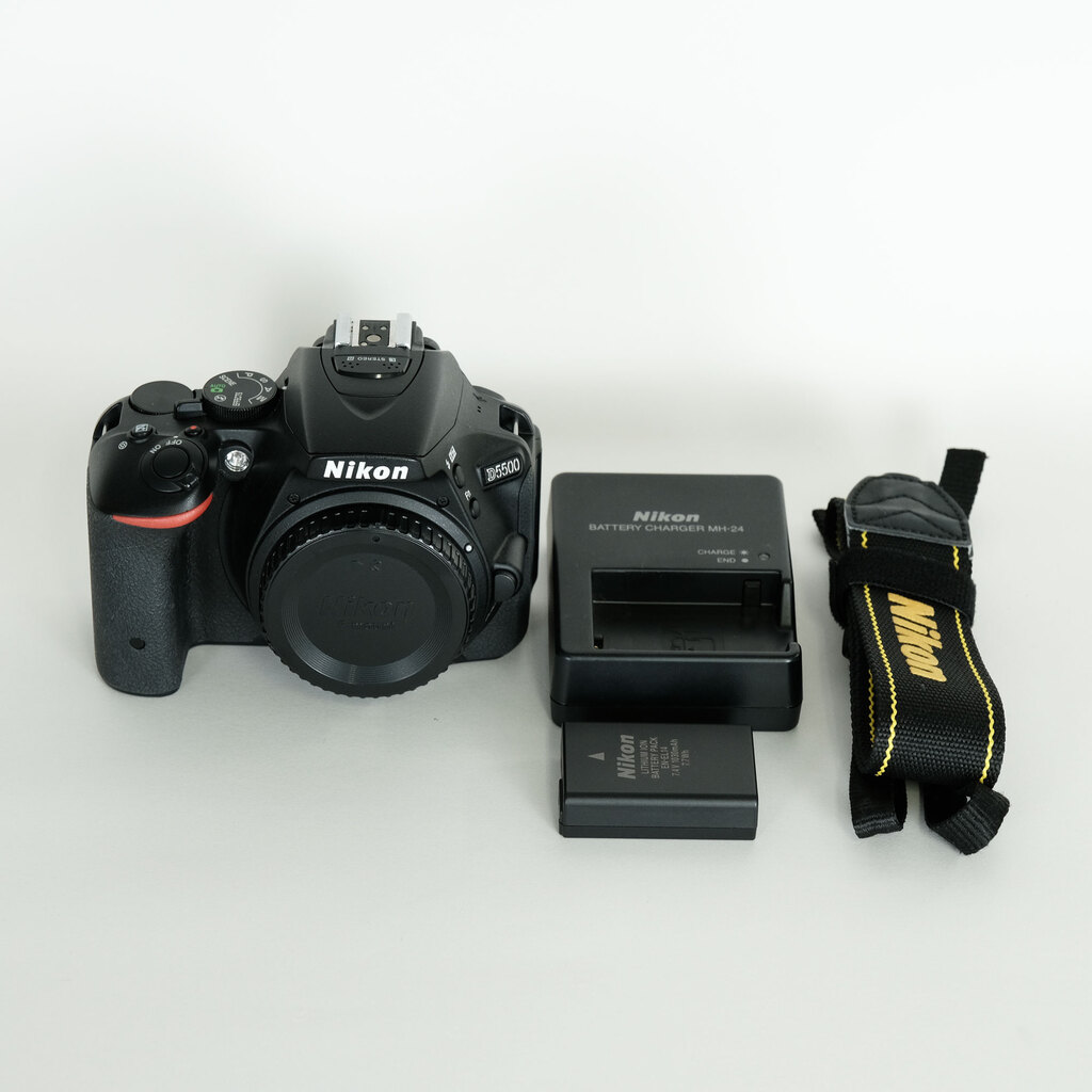 Nikon D5500