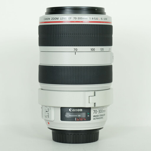 Canon EF70-300mm F4-5.6L IS USMを徹底解説。作例からレビューまで