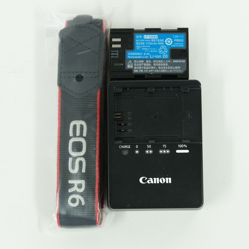 Canon EOS R6