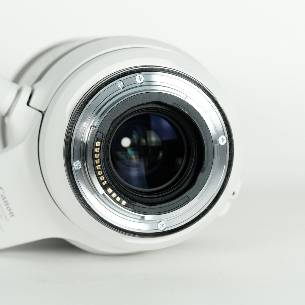 Canon RF100-500mm F4.5-7.1L IS USM