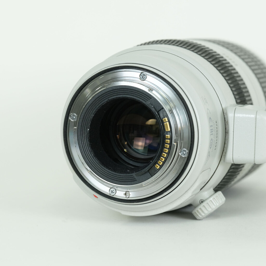 Canon EF100-400mm F4.5-5.6L IS II USM