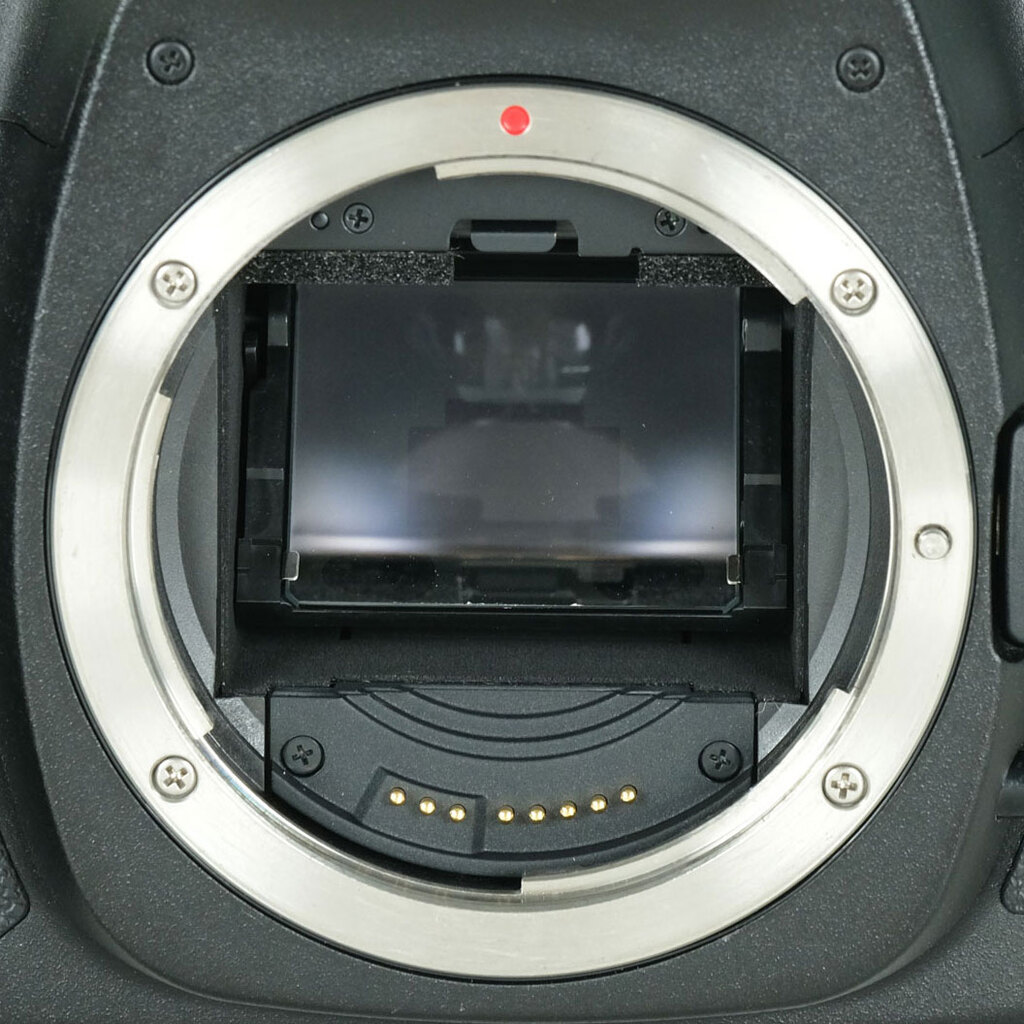 Canon EOS 5D MarkII ボディの出品 | ONE SCENE（ワンシーン）