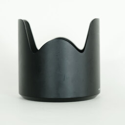 TAMRON SP 70-200mm F/2.8 Di VC USD G2 (Model A025) [ニコンF用]