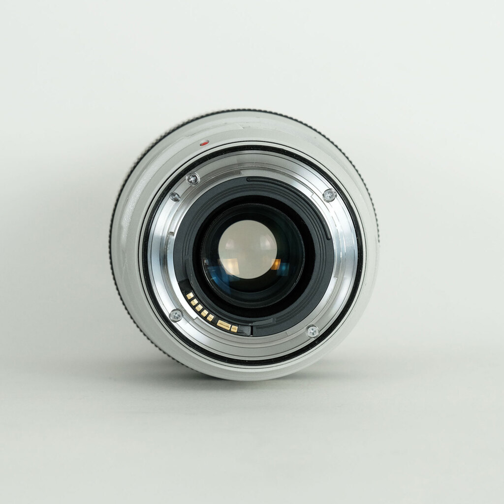 Canon EF70-300mm F4-5.6L IS USM