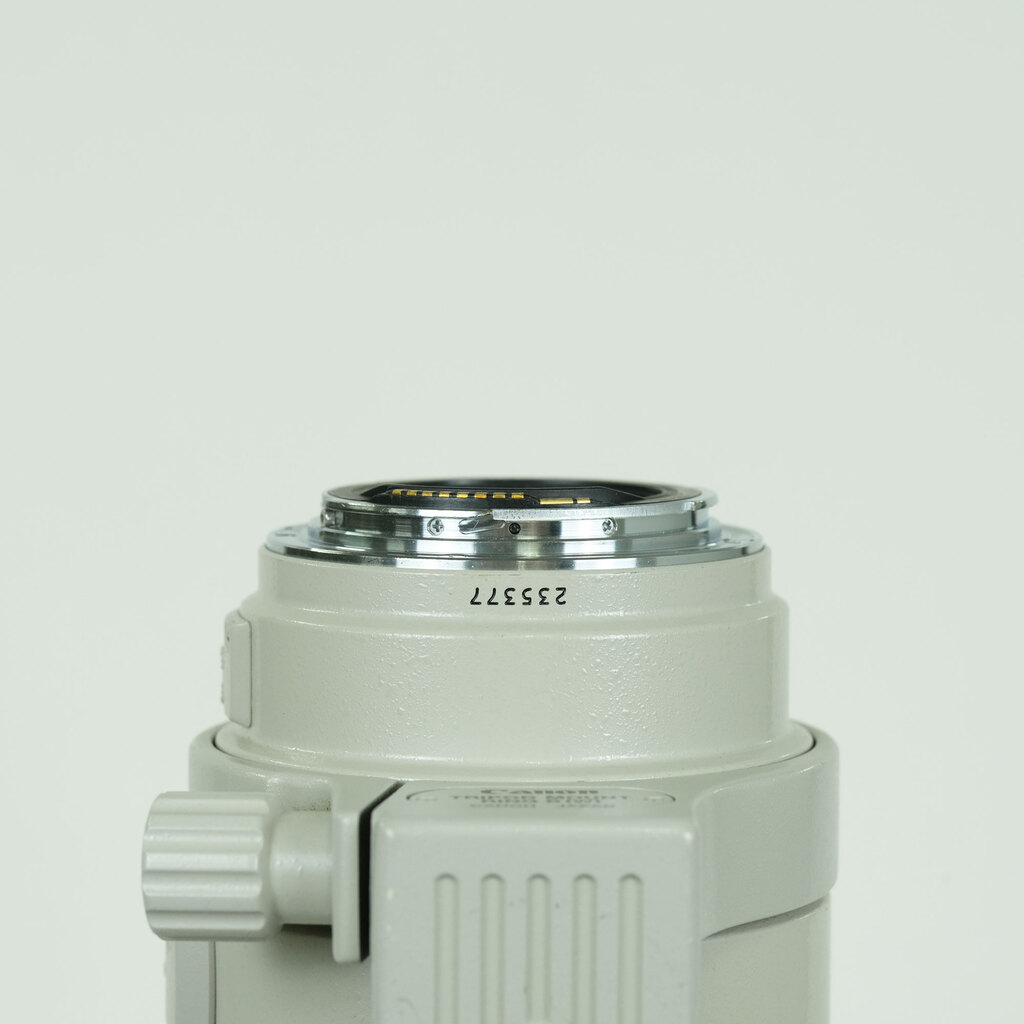 Canon EF100-400mm F4.5-5.6L IS USM