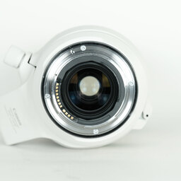 Canon RF100-500mm F4.5-7.1L IS USM