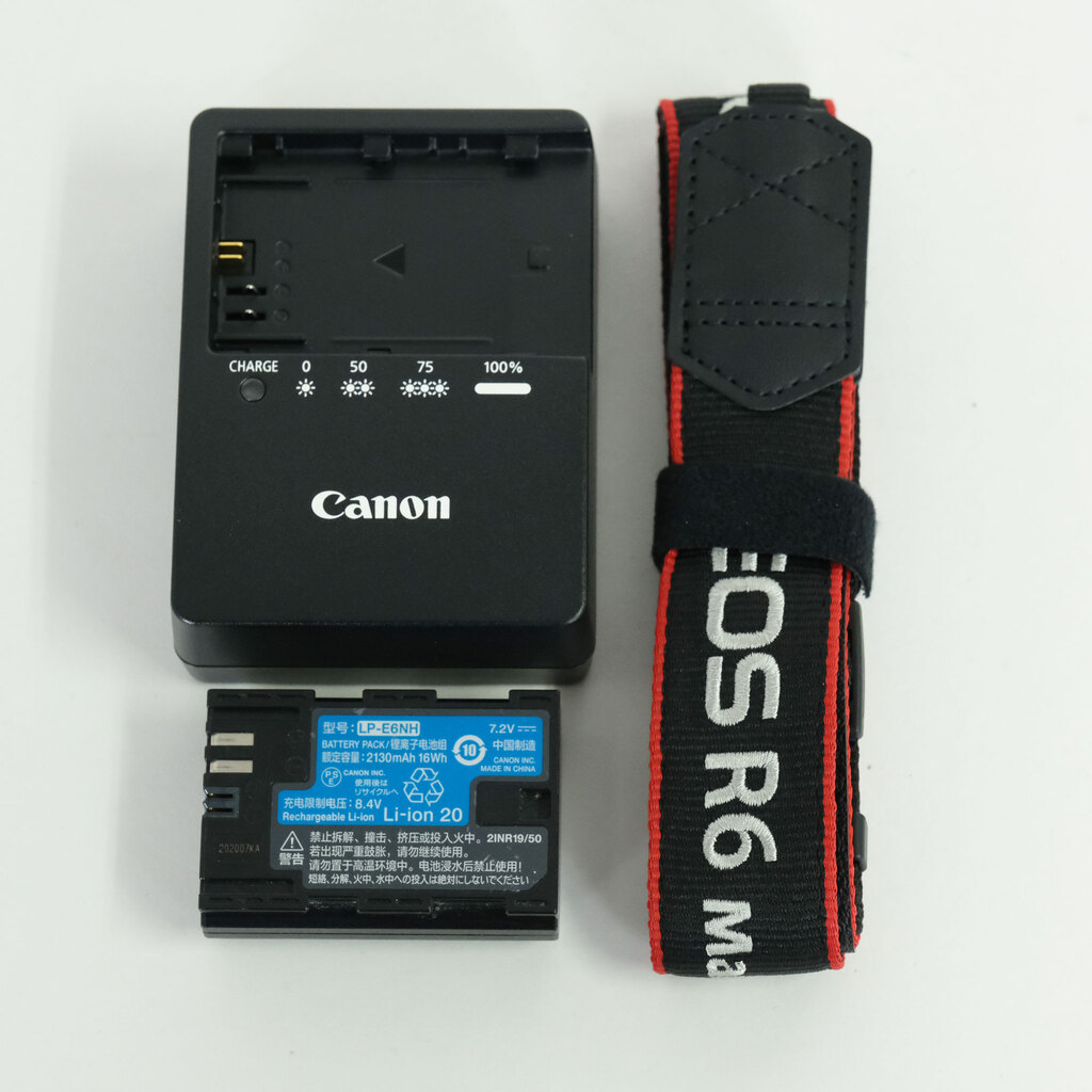 Canon EOS R6 Mark II