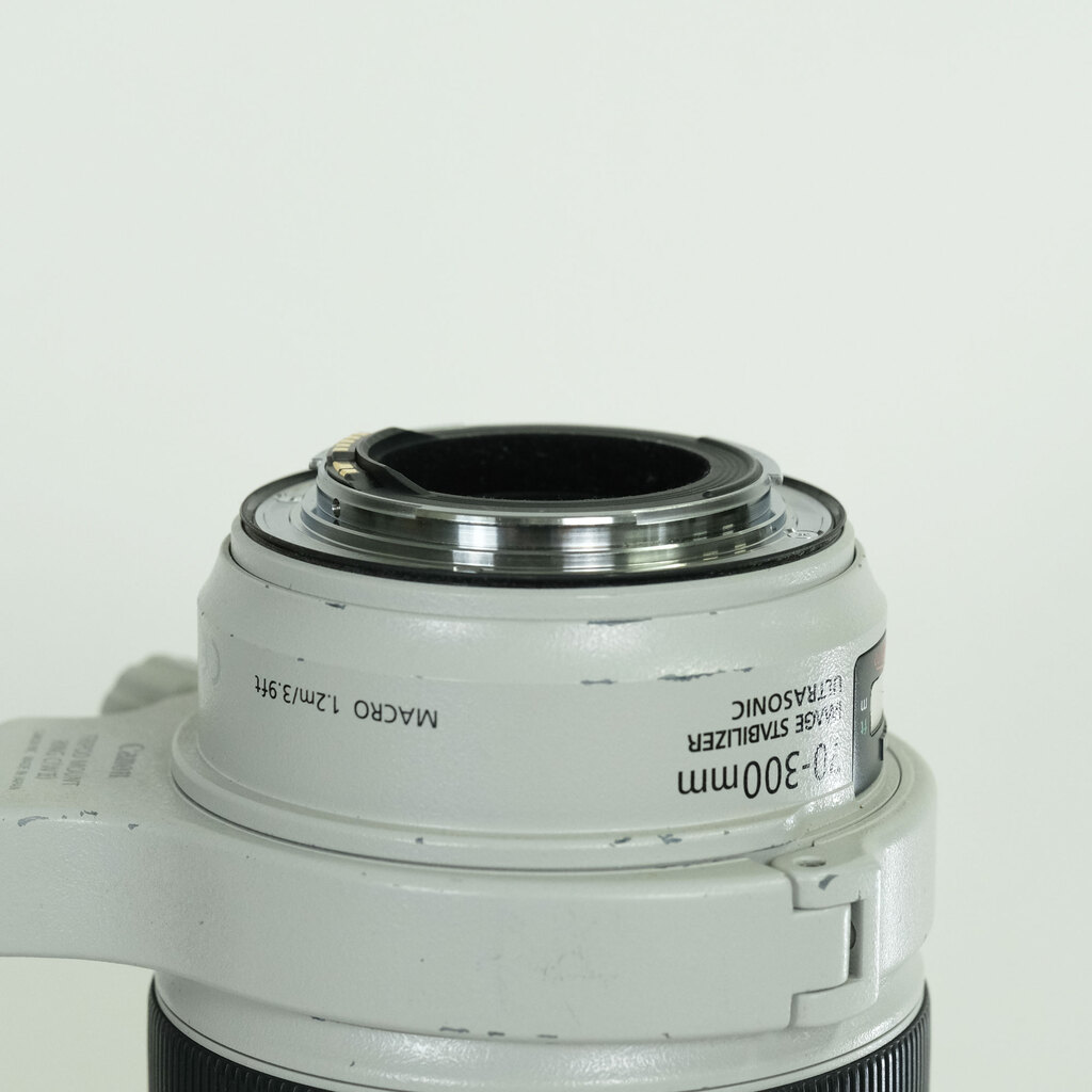 Canon EF70-300mm F4-5.6L IS USM