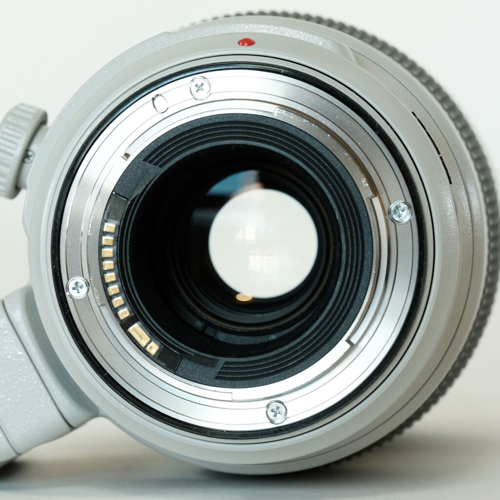 Canon EF100-400mm F4.5-5.6L IS II USM