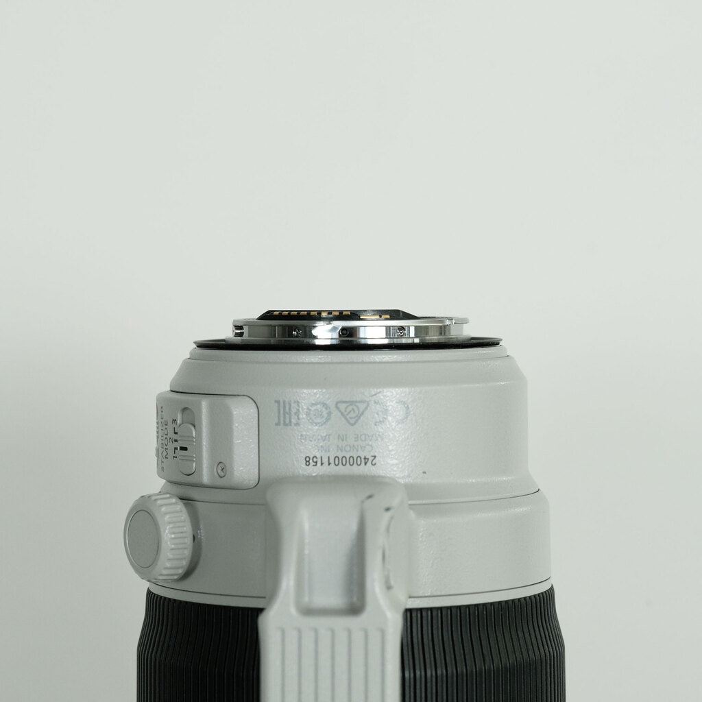 Canon EF100-400mm F4.5-5.6L IS II USM