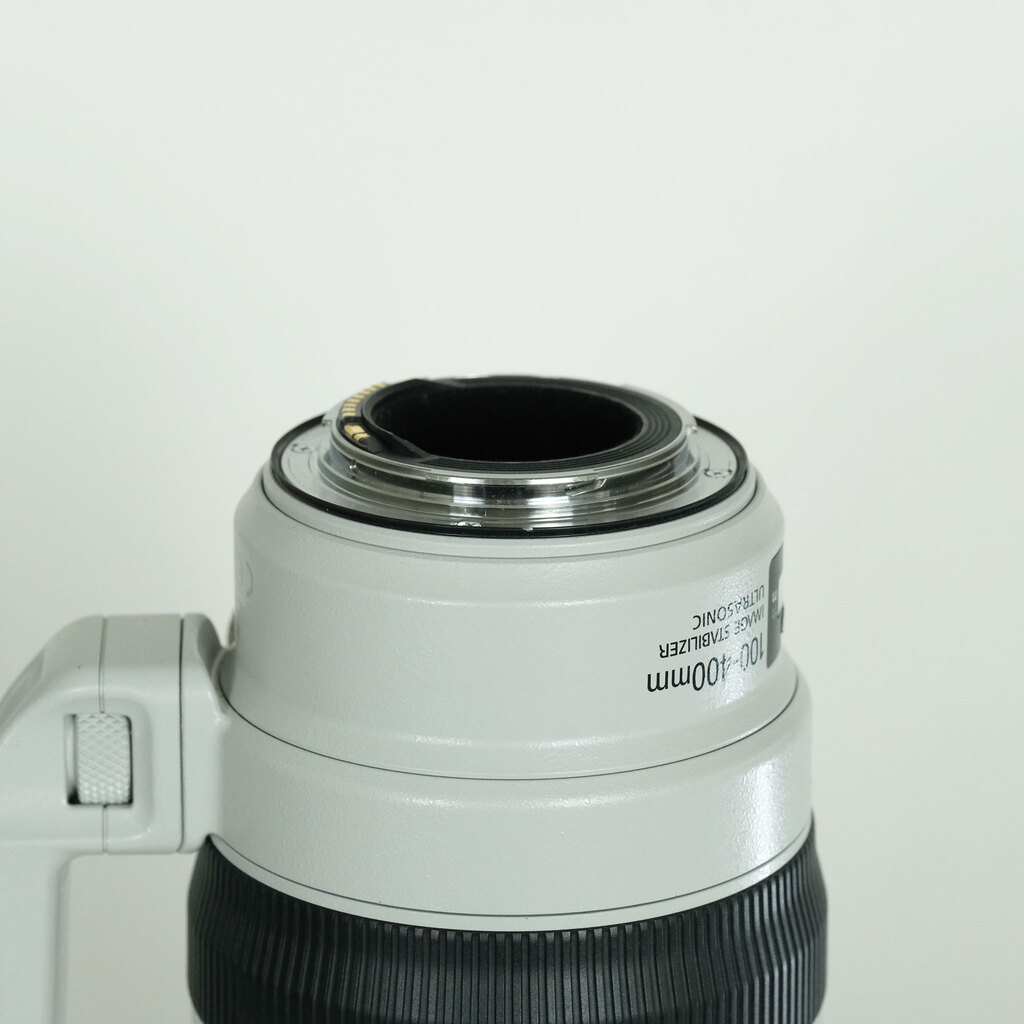 Canon EF100-400mm F4.5-5.6L IS II USM