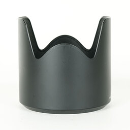 TAMRON SP 70-200mm F/2.8 Di VC USD G2 (Model A025) [ニコンF用]