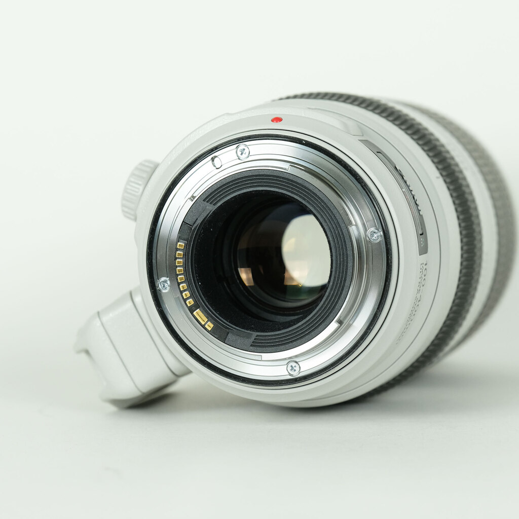 Canon EF100-400mm F4.5-5.6L IS II USM