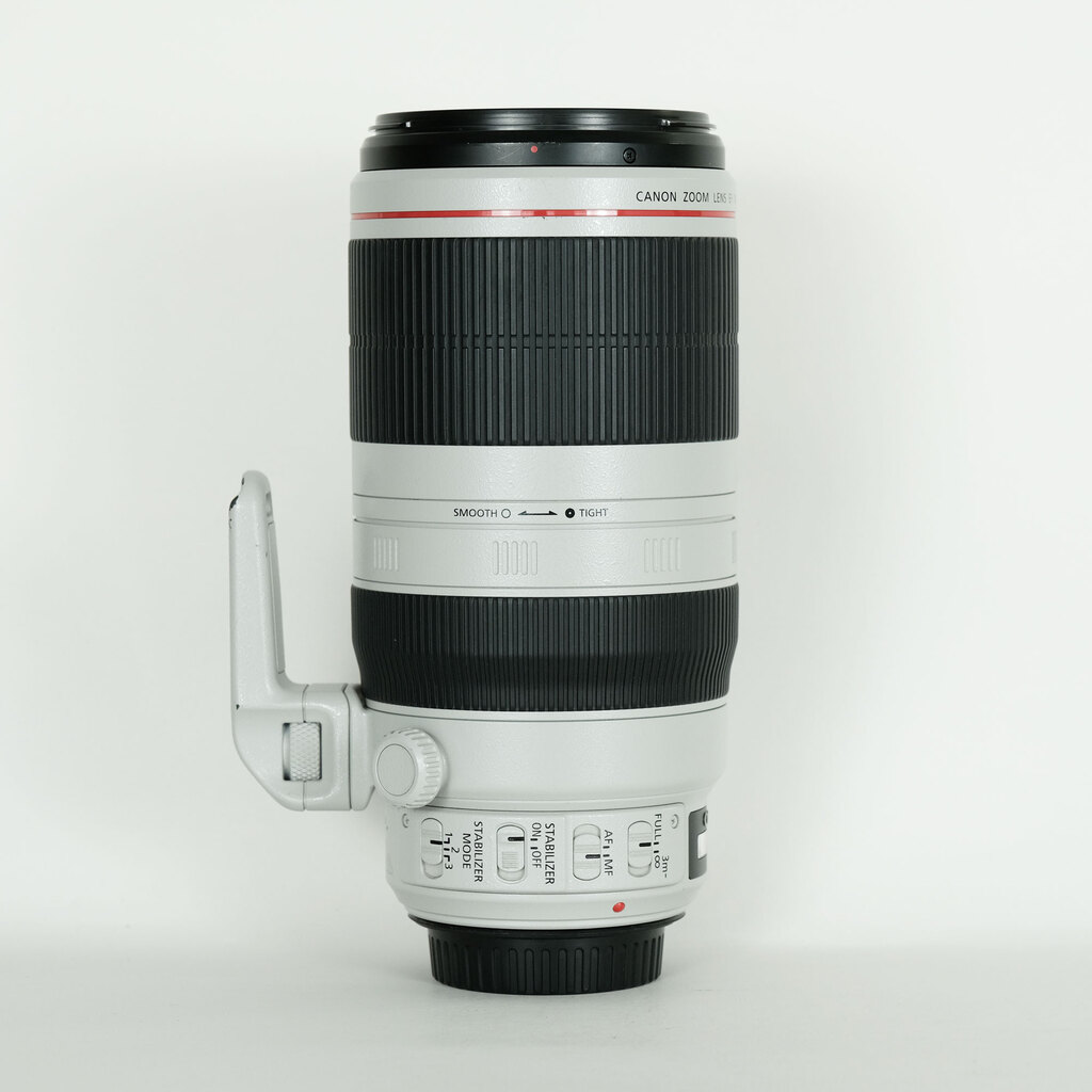 Canon EF100-400mm F4.5-5.6L IS II USM