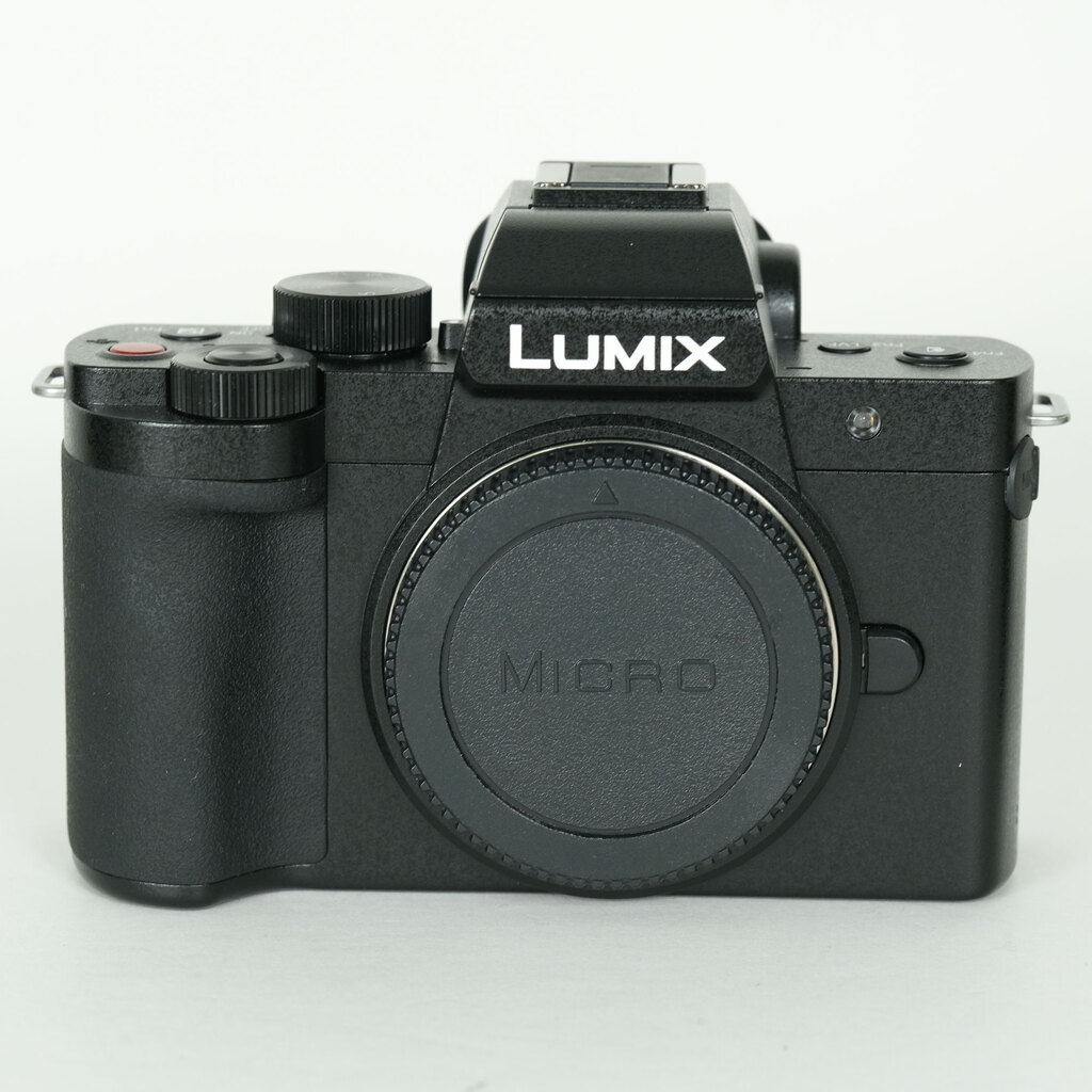 Panasonic LUMIX DC-G100D �{�f�B