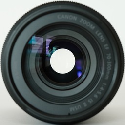 Canon EF70-300mm F4-5.6 IS II USM