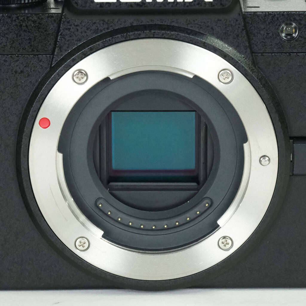 Panasonic LUMIX DC-G100 Panasonic LUMIX DC-G100