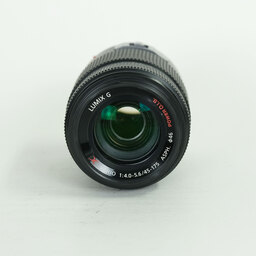 Panasonic LUMIX G X VARIO PZ 45-175mm / F4.0-5.6 ASPH. / POWER O.I.S.