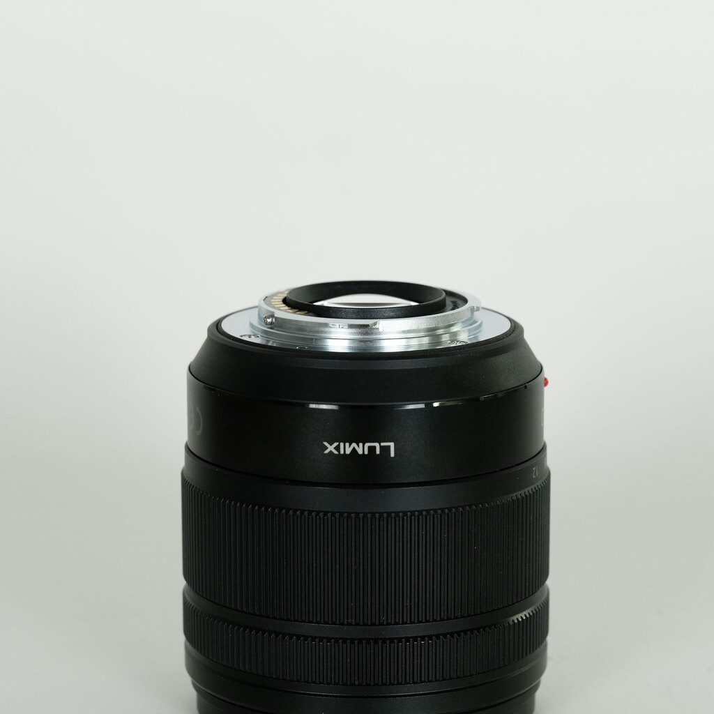 Panasonic LUMIX G VARIO 12-60mm / F3.5-5.6 ASPH. / POWER O.I.S.