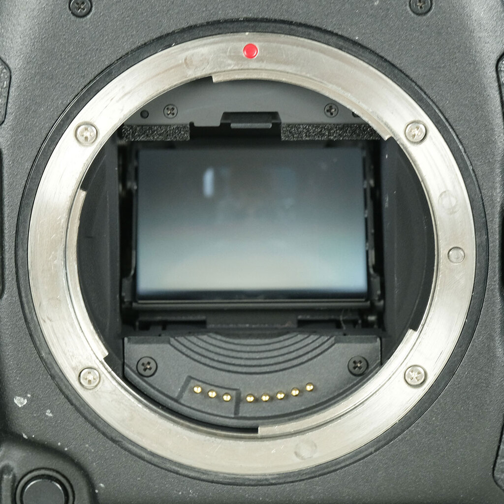 Canon EOS-1D X