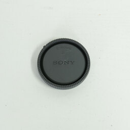 SONY E 18-135mm F3.5-5.6 OSS SEL18135