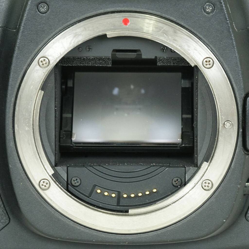 Canon EOS 5D MarkII ボディ