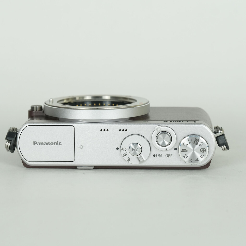 Panasonic LUMIX DMC-GM1S ブラウン
