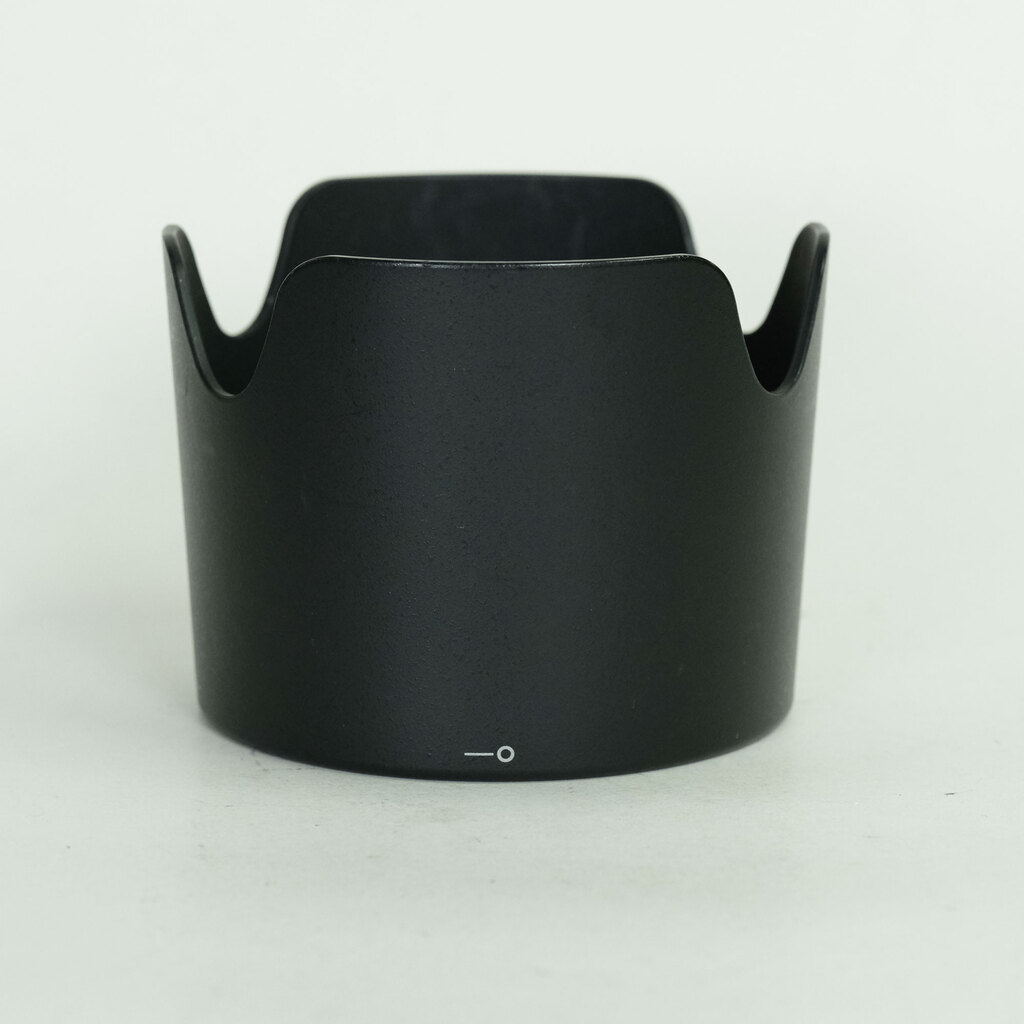 Nikon AF-S VR Zoom-Nikkor 70-300mm F4.5-5.6G IF-ED