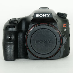 SONY α65