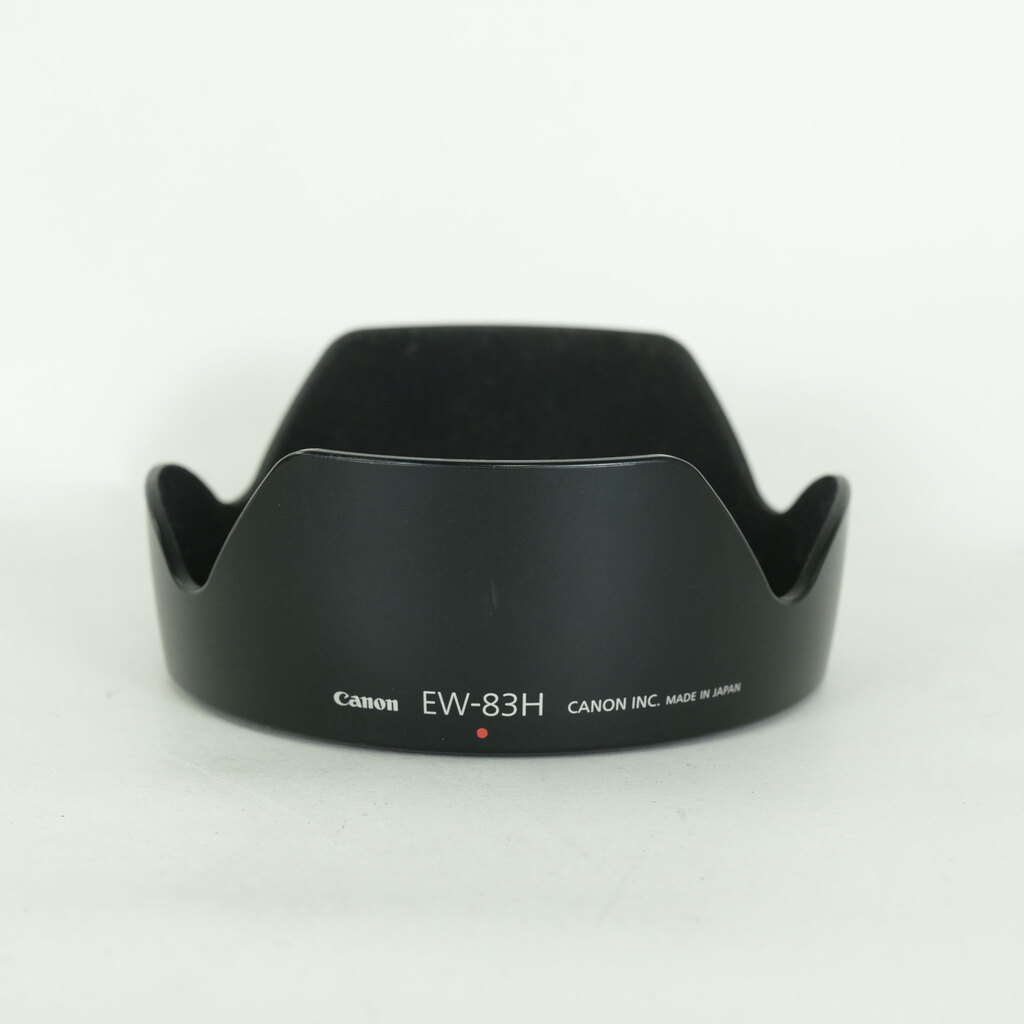 Canon EF24-105mm F4L IS USM