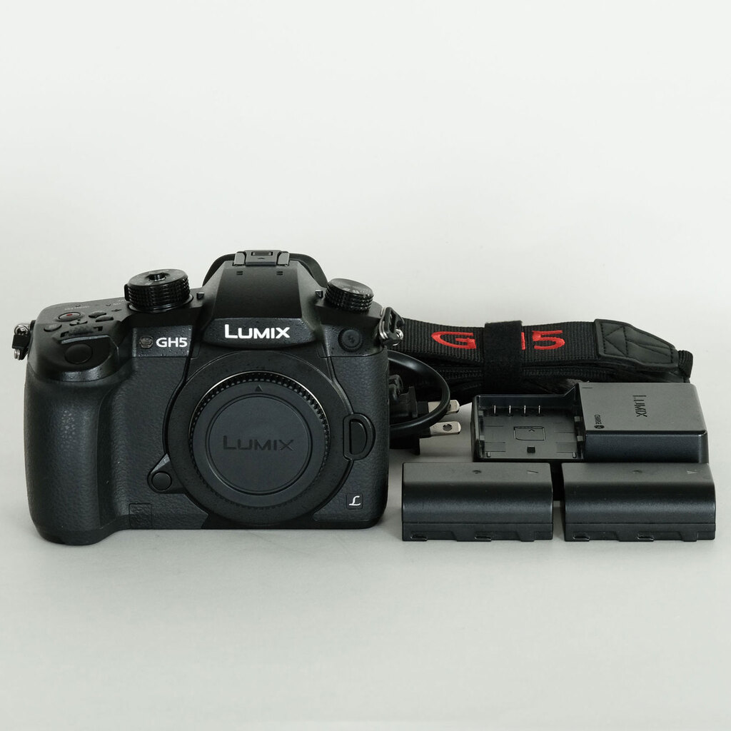 Panasonic LUMIX DC-GH5
