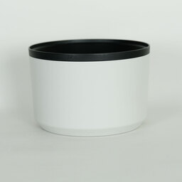 Canon RF70-200mm F2.8 L IS USM