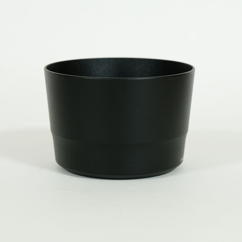 Canon EF-S55-250mm F4-5.6 IS STM