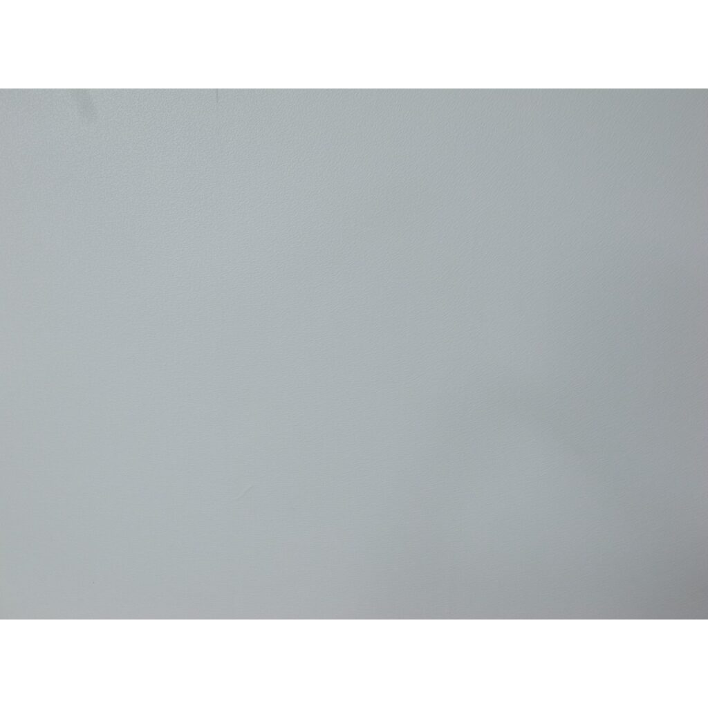 RICOH GR DIGITAL III RICOH GR DIGITAL III